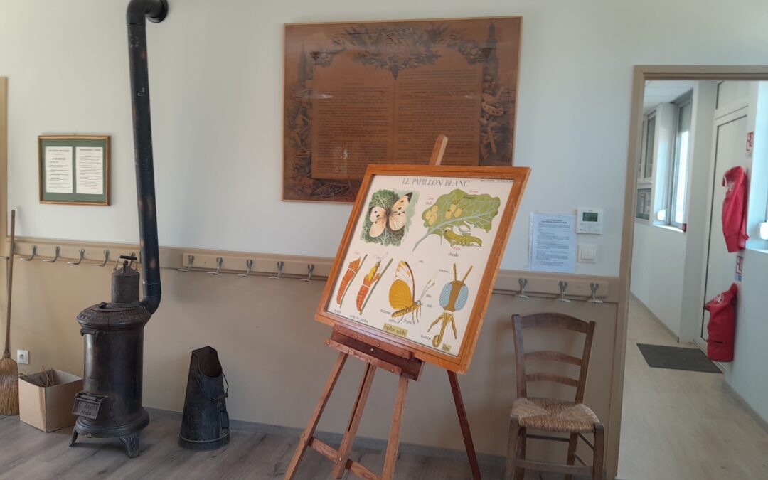 La vie du Musée de l’école